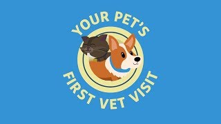 Your Pet’s First Visit: What to Expect