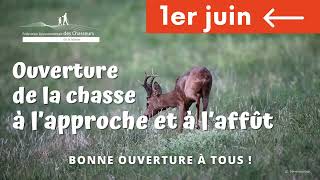 1er juin : ouverture de la chasse à l'approche et à l'affût