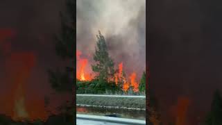 A large wildfire broke out unexpectedly in Miami, Florida.