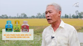 THD Xài Trên “LÚA 6 NĂM QUA” Lúa Rất Đẹp, Tiết Kiệm Chi Phí, Bảo Vệ Sức Khỏe – Ông Trần Văn Chanh