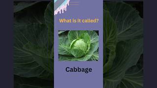 Guess the vegetables name ||