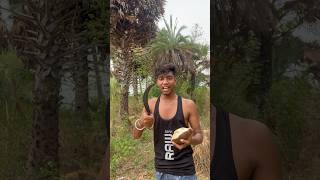 Taar Tree Fruit Cutting Challenge 😱 #shorts