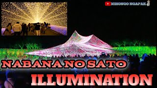 Nabana No Sato Winter illumination-japan||2021-2022