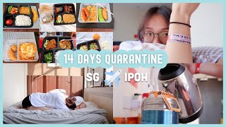 VLOG | 14 Days Quarantine In Ipoh 🏡 (SG ✈️ MY) PART 1