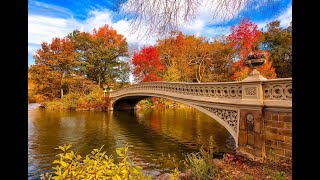 Bow Bridge in Central Park, New York, On the location of movie