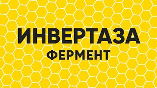 Инвертаза (Invertase) фермент для расщепления сахара. Как сделать инвертированный сироп