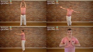 [20min Qi Gong] #20 Cours de Qi Gong Spécial Confinement