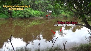 Detik-detik joran hampir wasalam ditarik ikan besar//strike bertubi-tubi mancing di sarang buaya