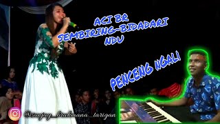 LAGU KARO- Aci br Sembiring-Bidadari ndu