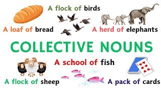 100 Common Collective Nouns in English | English for Beginners