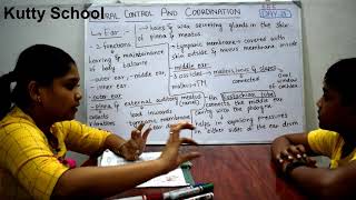 Neural Control and Coordination | Class-11 | Part-2 | Chapter-21 | Day-21 | Biology | NCERT |