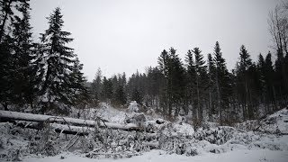 Winter Wind Relaxing Sounds 1 Hour / Snow Storm With High Winds