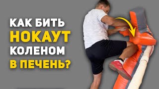 КАК БИТЬ НОКАУТ В ПЕЧЕНЬ КОЛЕНОМ? | Спортовед