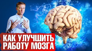 Как улучшить работу мозга и не допустить атрофию мозга🧠