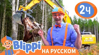 Блиппи на строительной площадке | Обучающие видео для детей | Blippi Russian