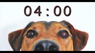 4 Minute Timer for School and Homework - Dog Bark Alarm Sound