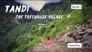 Stayed in TREEHOUSE in TANDI Village l Tirthan Valley l 1st Experience #travel #vlog #treehouse