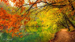 послушайте эту музыку и вам станет легче🌿Нежная музыка,успокаивает нервную систему и радует душу #93