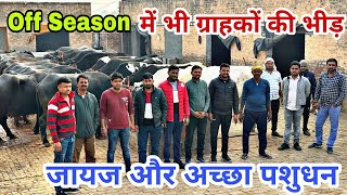 दबदबा कायम   Raj Dairy Farm जीत रहे हैं पशुपालकों का भरोसा   Repeated Customer #dairy #farming