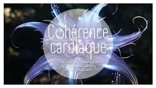 5 MINUTES DE COHERENCE CARDIAQUE - SEANCE DE RESPIRATION POUR REGULER LE STRESS - FLEUR