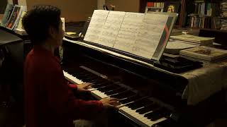 Wenyu Shen plays Liszt Consolation No.3 (Young Chang Piano)