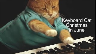 Keyboard Cat Christmas In June