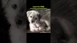 Drawing Puppy Dog Portrait Art FREE Drawing full tutorial at