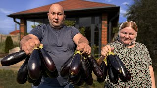 Ancient Recipe for Stuffed Eggplants!