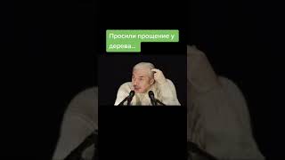 Просили прощения у деревьев и животных