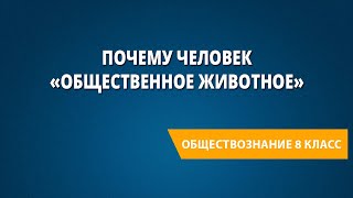 Почему человек «общественное животное»?