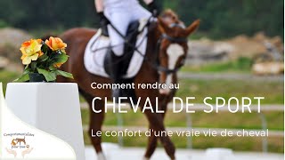 Conférence : Comment rendre au cheval de sport le confort d'une vraie vie de cheval ?