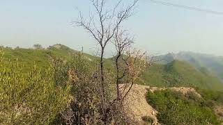 Some click kotli sattian ||Islamabad