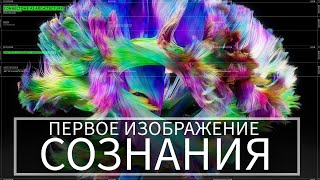 Что такое СОЗНАНИЕ в 2024? | Новейшие открытия и эксперименты