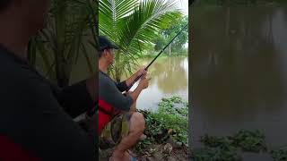 MANCING BABON IKAN// DI KOLAM YANG TIDAK DI URUS//MANTAPPPPPP