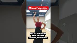 Manos Flamencas ❤️💃 #flamenco #ManosFlamencas #ClasesDeFlamenco #PaolaTamayo