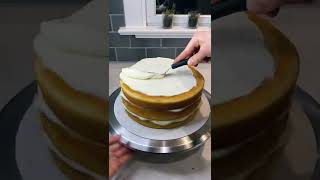 Beautiful Rosette Cake tiktok drippycakes