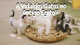 A Vida dos Gatos no Antigo Egito: Mitos e Lendas