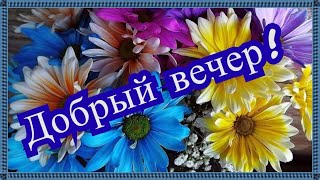 Добрый вечер! Доброго и приятного вечера! Музыкальная открытка для друзей. Чекалин!