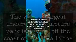 👍The World's Largest Underwater Sculpture Park Is... | Unusual Facts About Travel  | #shorts