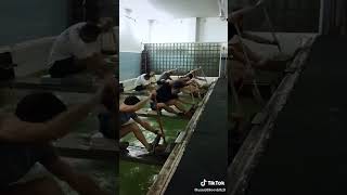 Kỹ thuật ngồi chèo trong hồ/Rowing techniques #shortsvideo #dragonboat #dragon #shots