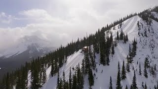 Castle Mountain: Where the cat skiing is top of the heap