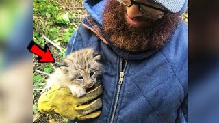 Tiny kitten found alone in forest turned out to be a baby lynx cub