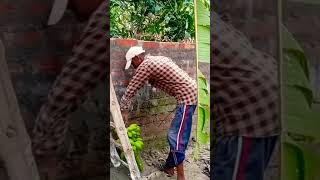 বসিয়ে দিয়েছি বাবু / সেই স্বাদ #new #funny #shorts