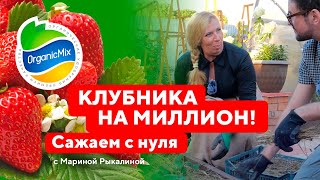 Клубника на миллион! Высадка и подкормка клубники. Марина Рыкалина советует.