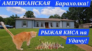 ПОХОД НА Американскую БАРАХОЛКУ! СИМПОТИЧНЫЙ ДОМ! МИЛО И УЮТНО! РЫЖАЯ КИСА НА УДАЧУ!