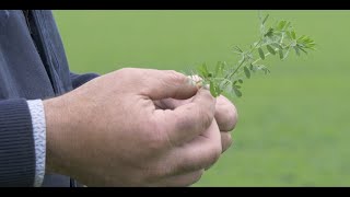 Agriculture : l'avenir à portée de main