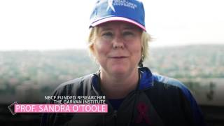 Bridge to 2030: Climb for Breast Cancer Research (Community Supporters)