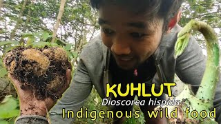 Indigenous wild food - Kuhlut  (Dioscorea hispida)