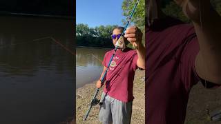 Turning a gizzard shad into a big catfish! #catfishing #bluecatfish #kansas #fishing #shad