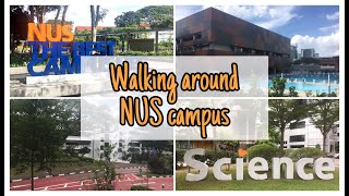 Walking around NUS - From UTown to KR MRT to PGPR | Bea Square